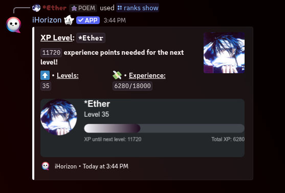 Rank card showing a member's avatar, level and XP progress bar.
