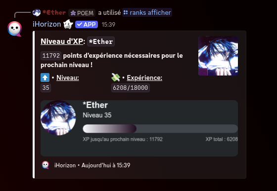 Carte de rang montrant l'avatar, le niveau et la barre de progression d'XP d'un membre.
